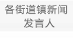 各街道镇新闻发言人